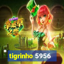 tigrinho 5956